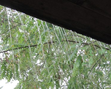 Sind Blitze, sind Donner