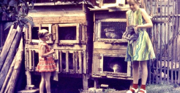 1966 – Konijn. Het verhaal achter de foto.